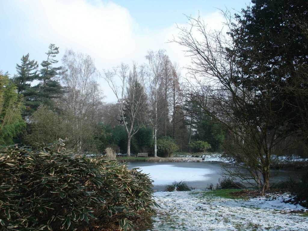 arboretum de Kalmthout