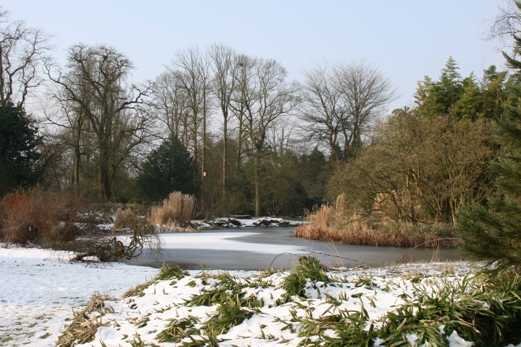 Le parc