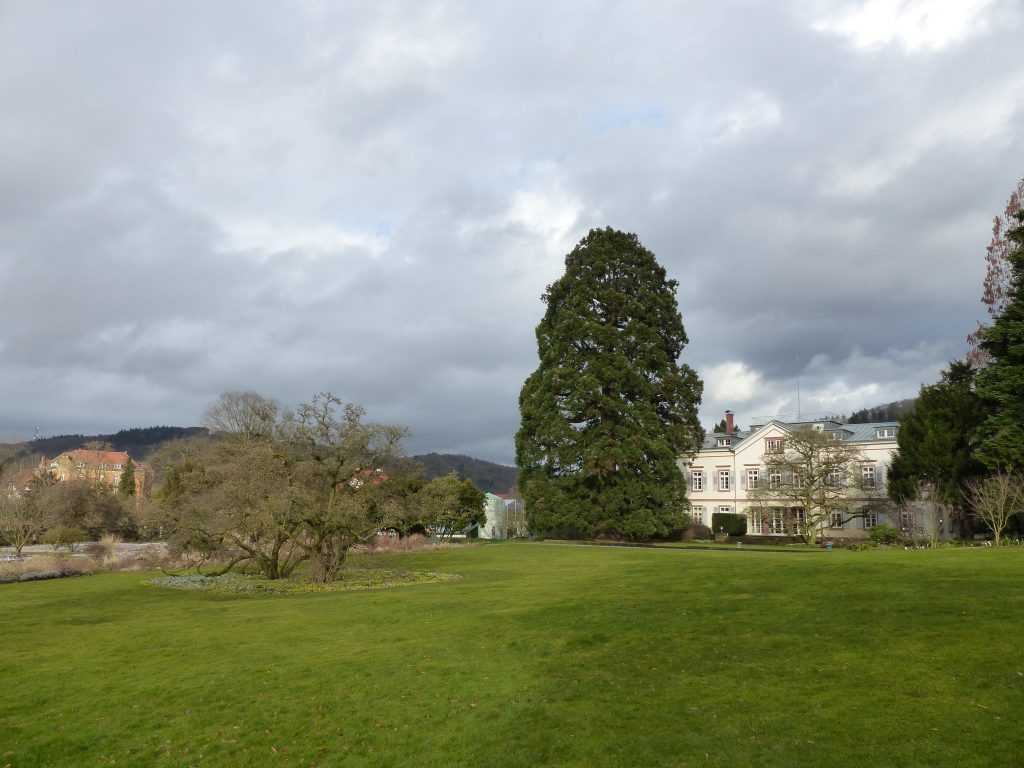 Vue sur la villa Hermannshof, remarquer le remarquable séquoia (Sequioadendron giganteum) sur la gauche et les magnolias (Magnolia x soulangeana 'Lennei Alba') au premier plan, ils datent tous de l'année 1888.