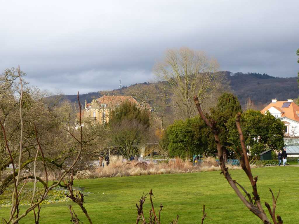 Depuis le sous-bois situé un peu en hauteur, on a une superbe vue sur les massifs de steppe comme sur les collines boisées du paysage environnant.