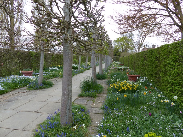En avril, le fleurissement de cette longue allée régulière du jardin anglais de Sissinghurst repose presque entièrement sur les petits bulbes