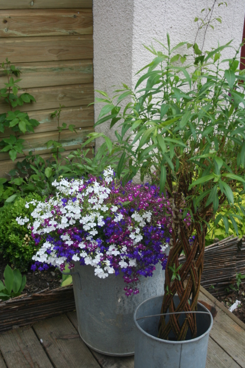 Pot de fleurs auto-absorbant entièrement transparent, jardinière à