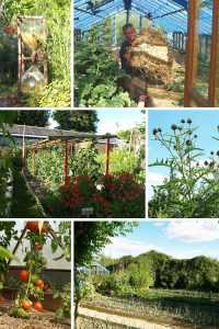 les jardins Rocambole, un potager écologique qui se visite