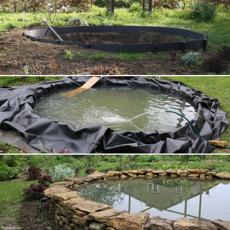 Bassin de jardin