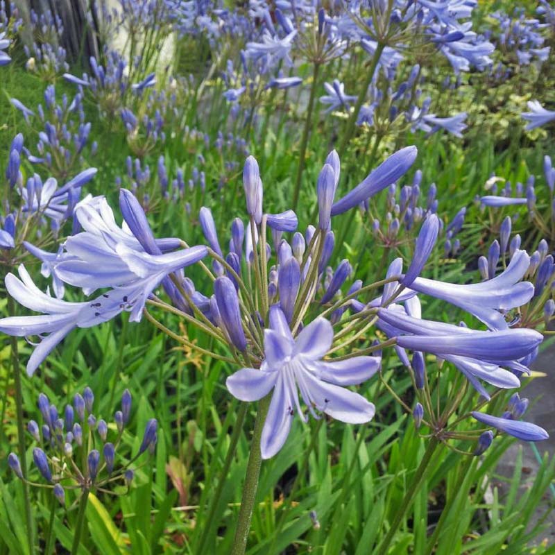 Qui a eu le cadeau le plus pourri de Gironde ? Envoyez-nous vos photos