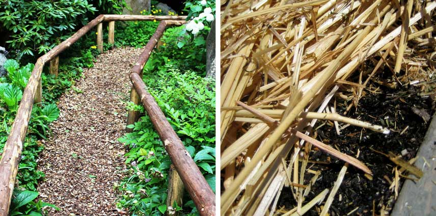 Le meilleur paillage : celui est qui adapté