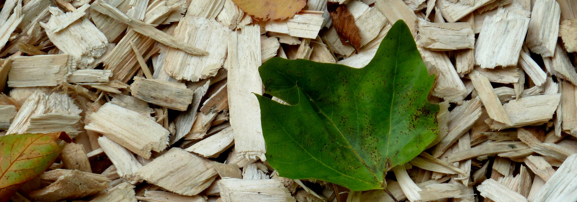 Paillage Plaquette de bois naturelle