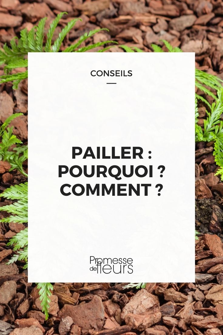 Le paillage au jardin : pourquoi, comment et avec quels paillis