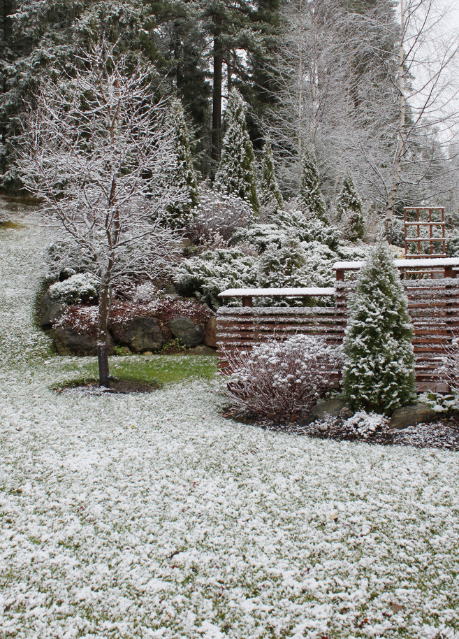 Le froid arrive, protégez vos plantes !