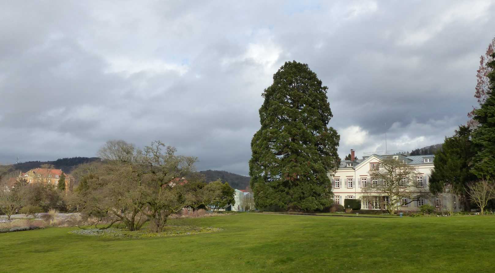 Le jardin Hermannshof en mars