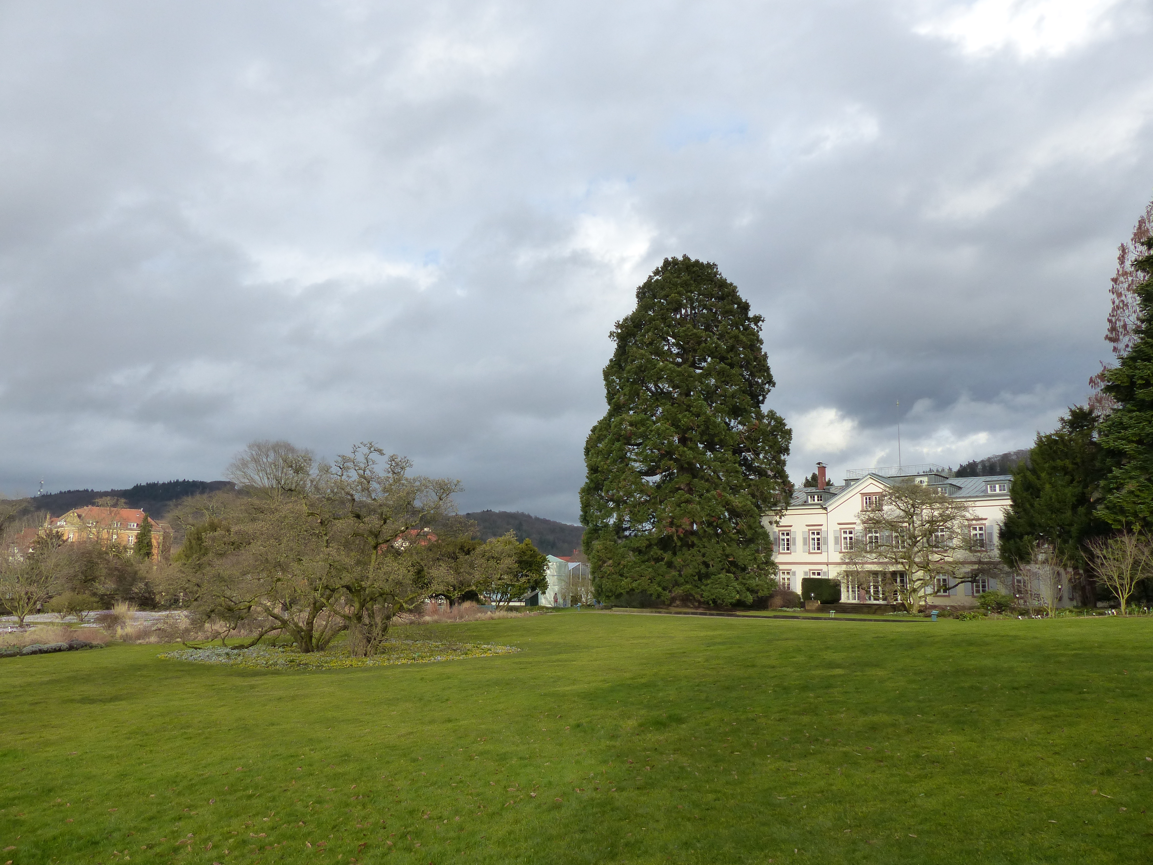 Le jardin Hermannshof en mars
