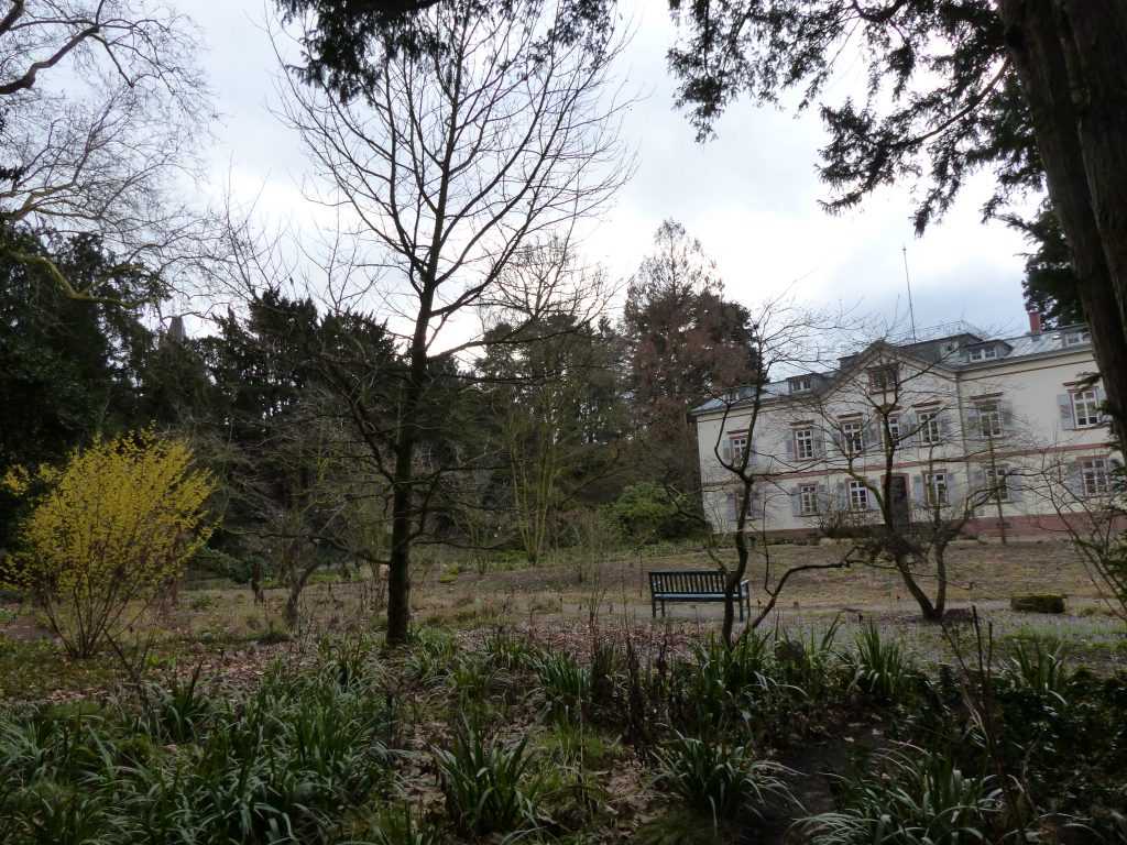 Vue sur l'arrière de la villa depuis les sous-bois "nord-américains", cet espace entièrement nu deviendra en quelques mois une prairie luxuriante