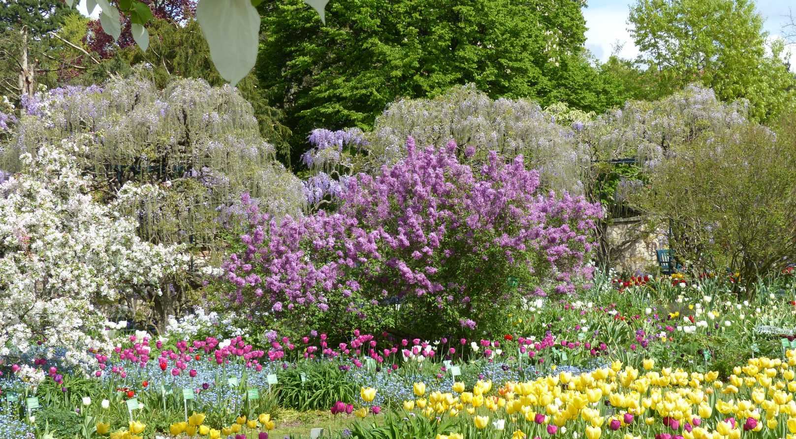 Le jardin Hermannshof en avril