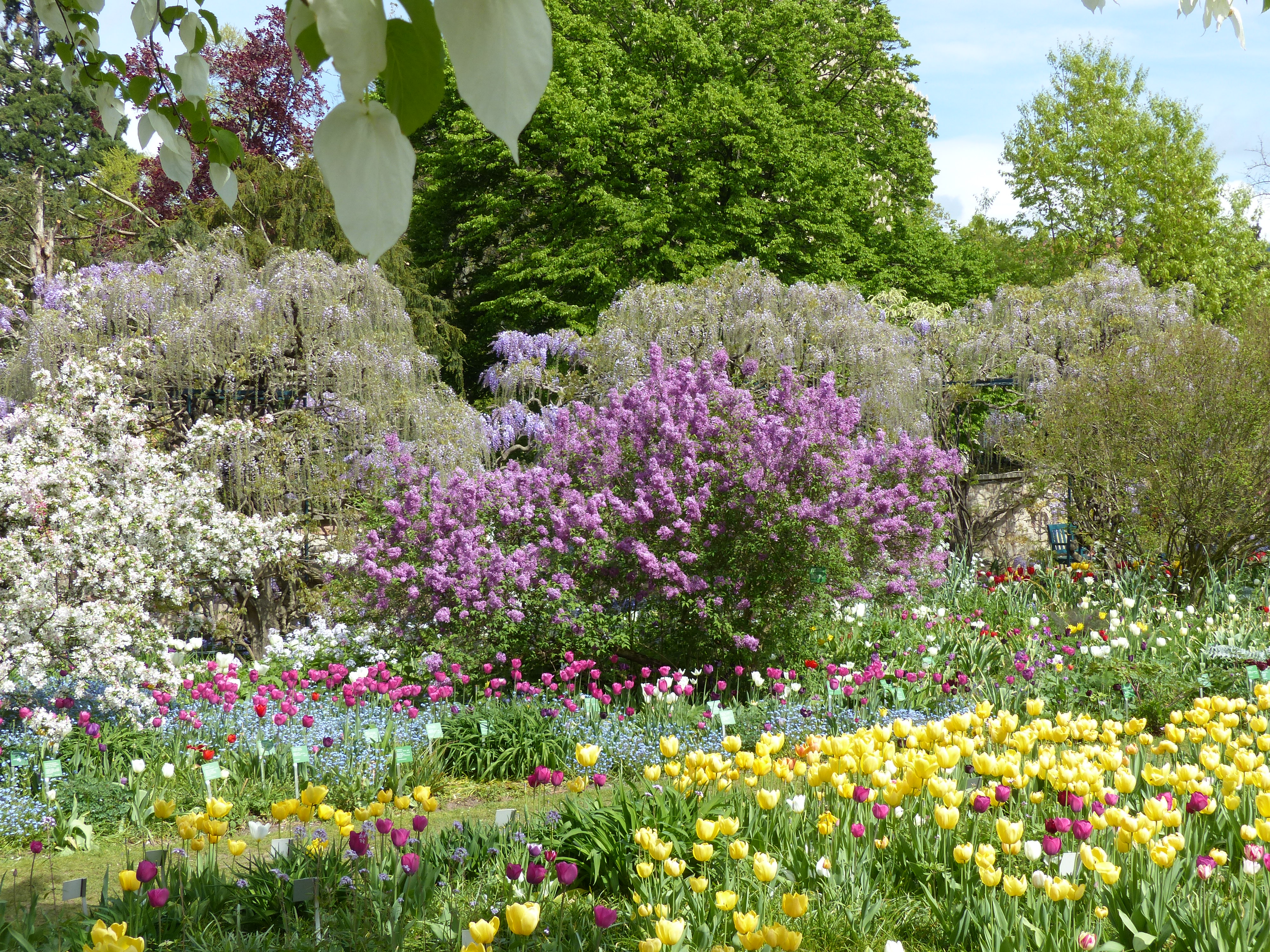 Le jardin Hermannshof en avril