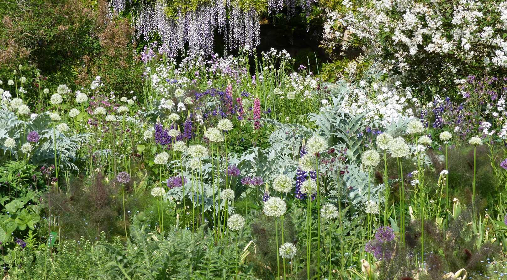 Le jardin Hermannshof en mai