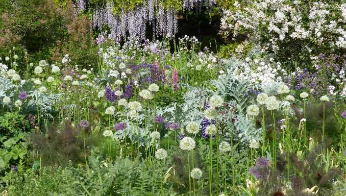 Le jardin Hermannshof en mai