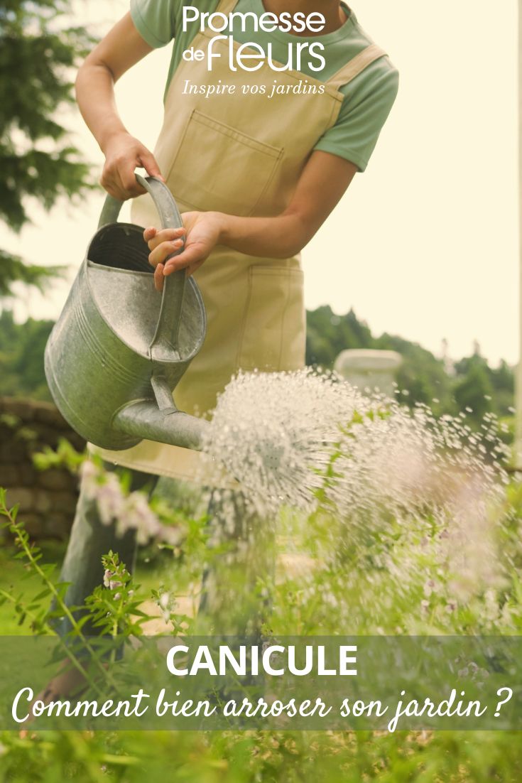 arroser le jardin en été