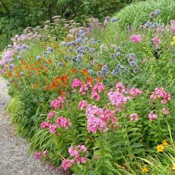 Idée jardin pour maison de vacances