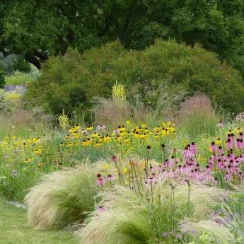 Le jardin Hermannshof en juin