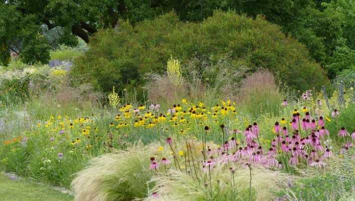 Le jardin Hermannshof en juin