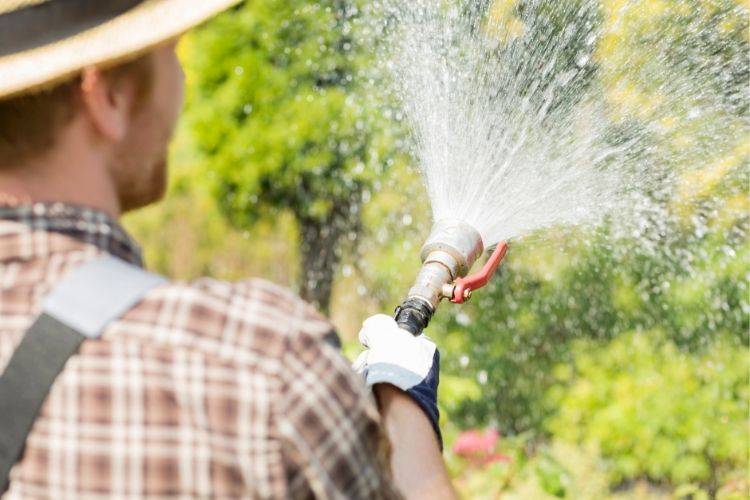 L'arrosage en cas de canicule