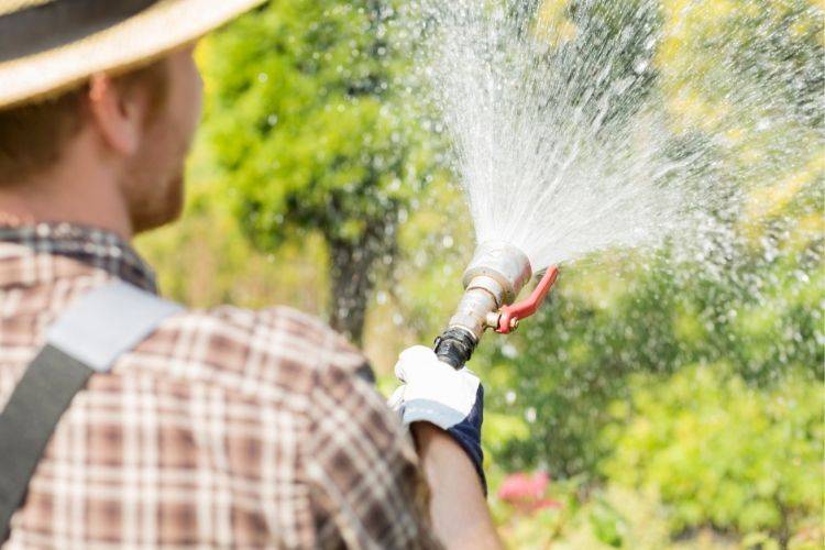 L'arrosage en cas de canicule