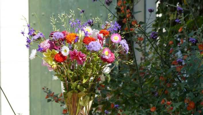 Bouquet champêtre pour jardin harassé