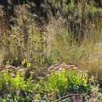 Le jardin Hermannshof en septembre