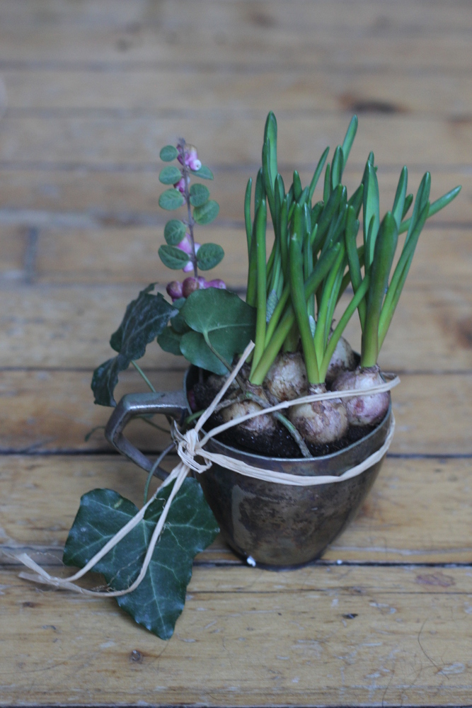 Bulbes et récup' pour des fleurs avant l'heure