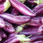 Réussir la culture des aubergines