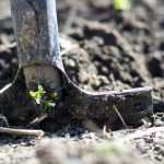 Nourrir le sol naturellement