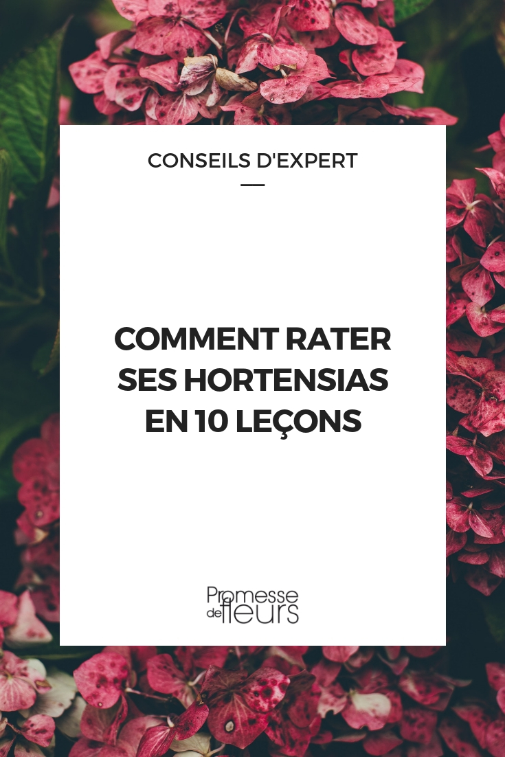 Découvre les Fleurs - de 4 ans à 7 ans: Apprends à Reconnaître les Fleurs :  Découvre La Rose, La Tulipe, La Lavande, Le Muguet, Le Tournesol, La