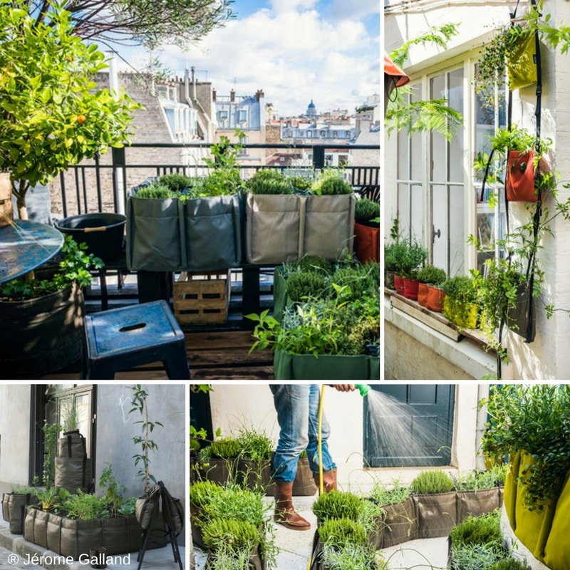 Créez une ambiance spectaculaire avec des plantes retombantes en balco