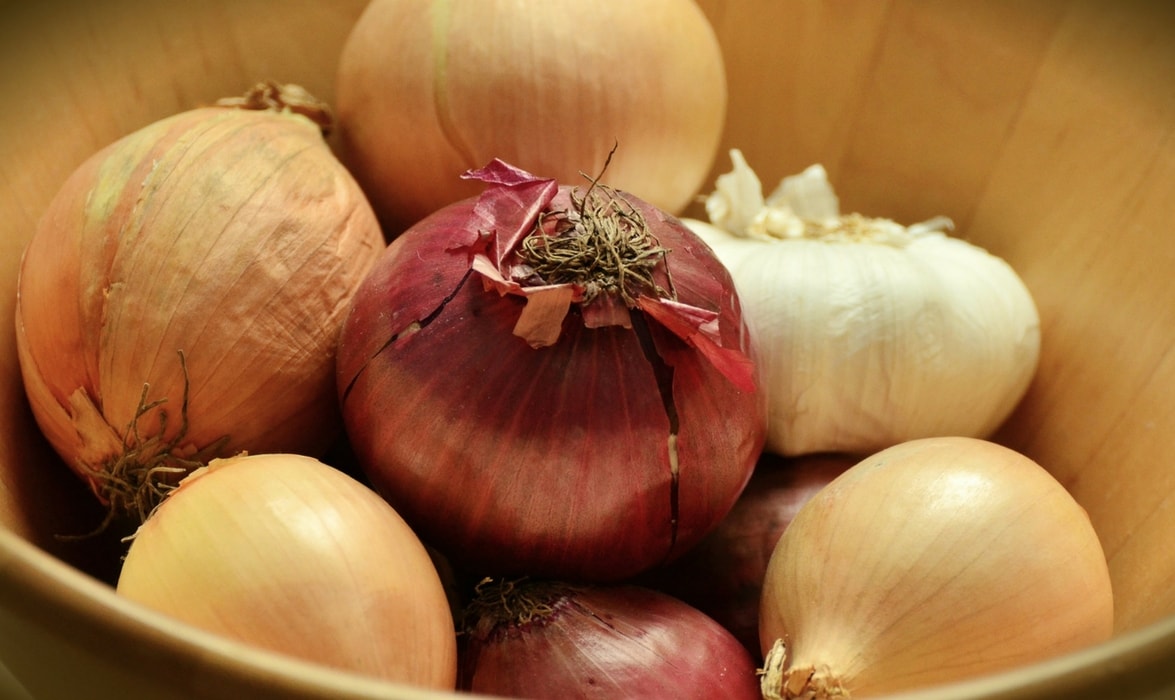 Ail et oignon récoltés au potager se conserve à la maison