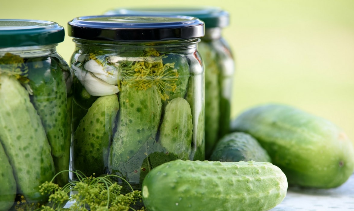 Les cornichons du potager, en bocal, dans le vinaigre