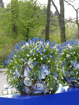 Muscari 'Blue Magic' et 'White Magic' dans un pot en porcelaine de Delft à Keukenhof