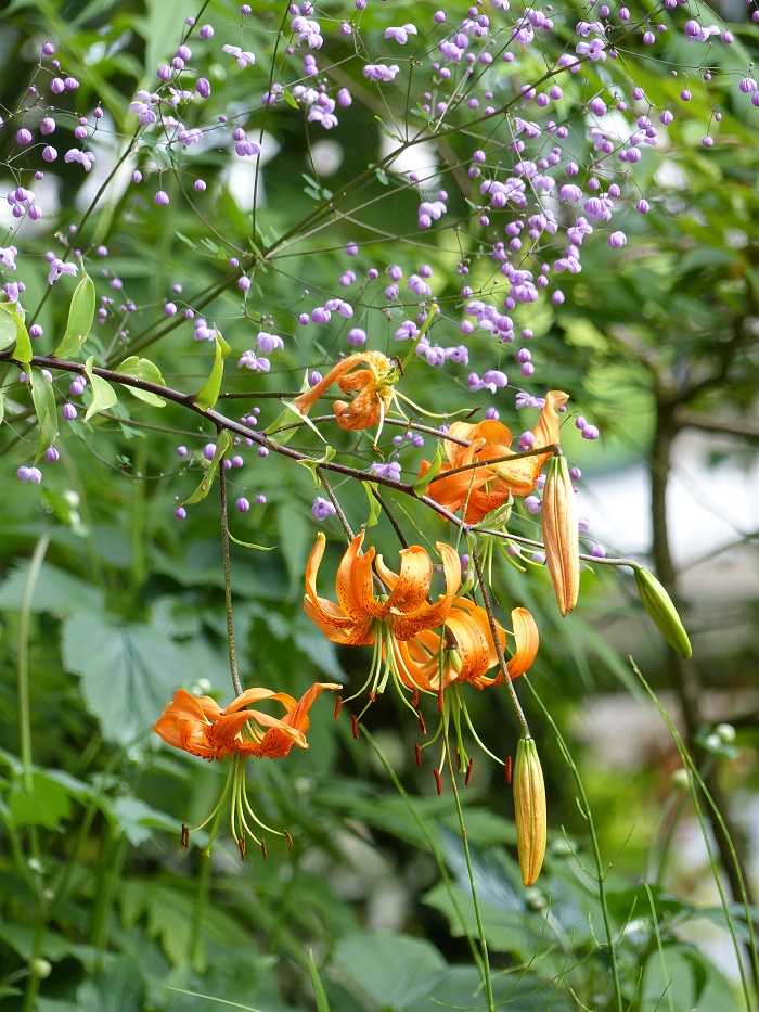 J'ai osé associer l'orange et le violet !