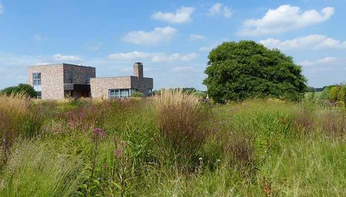 Visite au jardin de Piet Oudolf à Hummelo