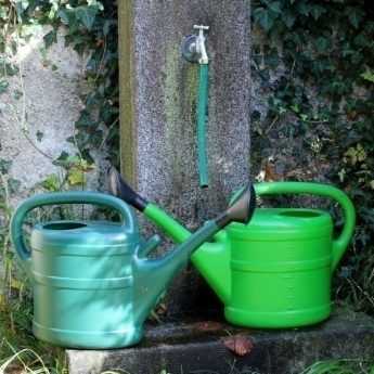 Bien arroser le potager en été