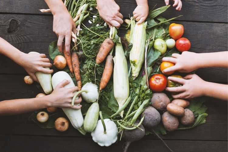 donner les fruits et légumes de son jardin