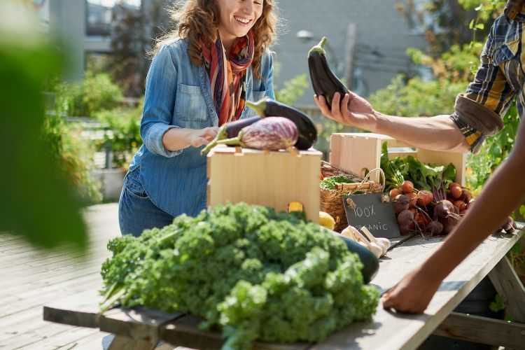 vendre les fruits et légumes de son jardin