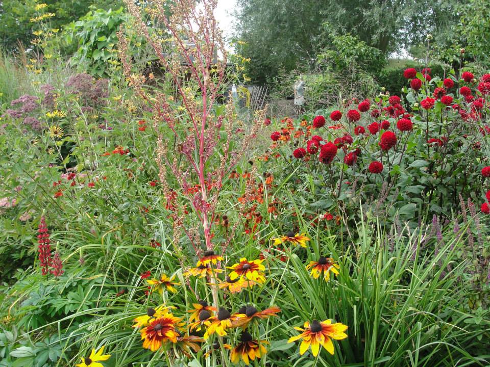 mixed border au jardin Citrouilles et lutin