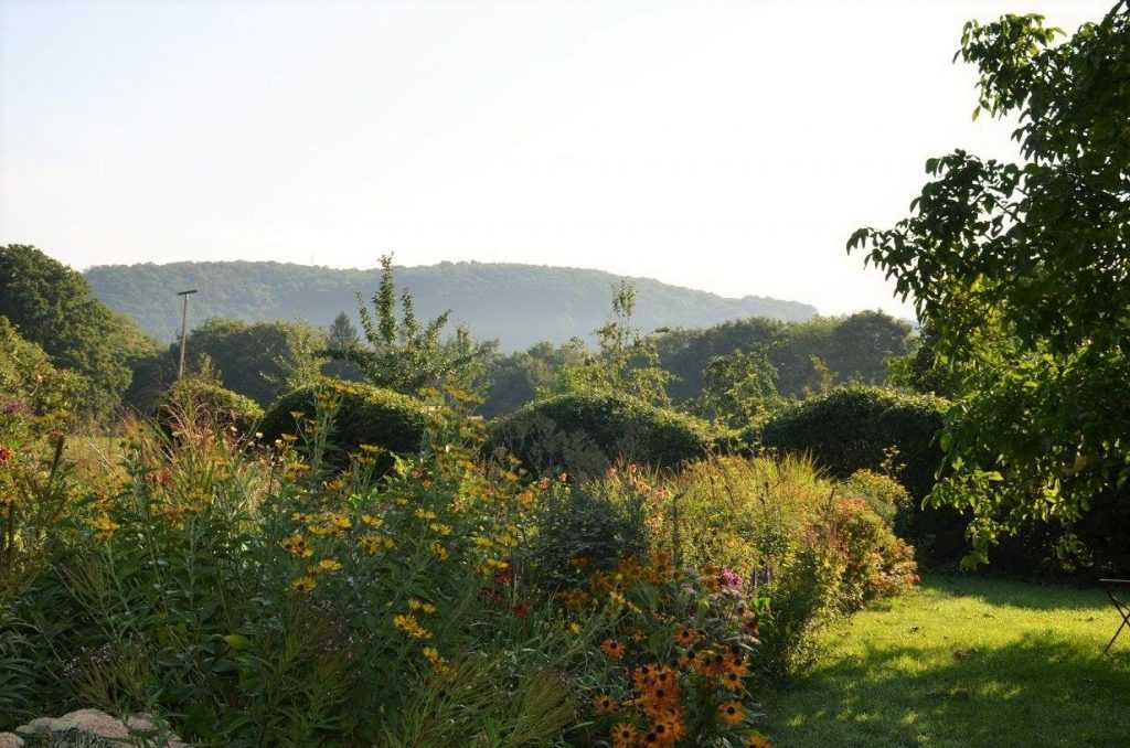 le jardin Citrouilles et lutin, la haie