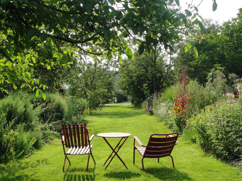 Jardin de Sophie Arendt, la pelouse
