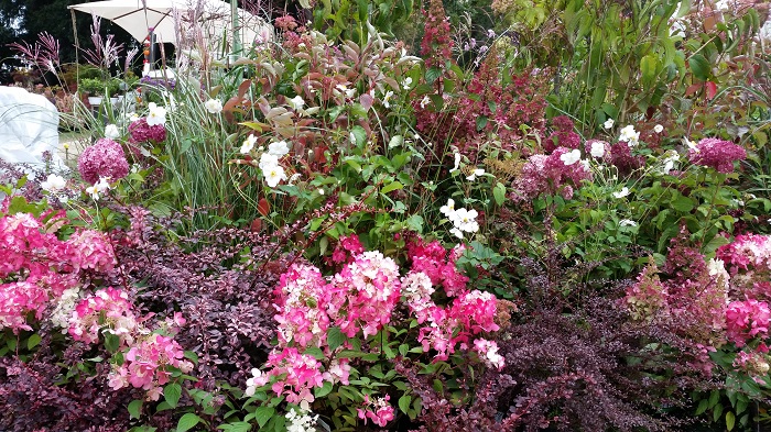 Promesse de Fleurs à Chantilly !