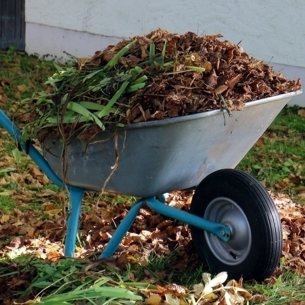 Couvrir le sol d'un potager en hiver – Blog BUT