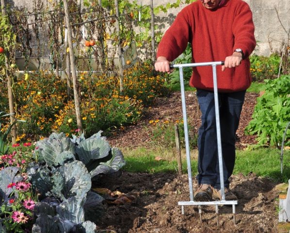 Semer la mâche, récupérer les graines, planter du safran… Dix gestes à  faire au jardin en août