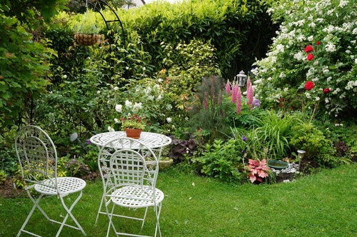blog jardin Patou et son petit jardin en ville blog jardin Patou et son petit jardin en ville