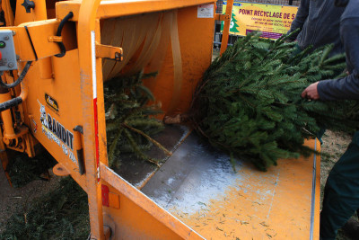 Recyclage des sapins de noel - Mairie de Paris