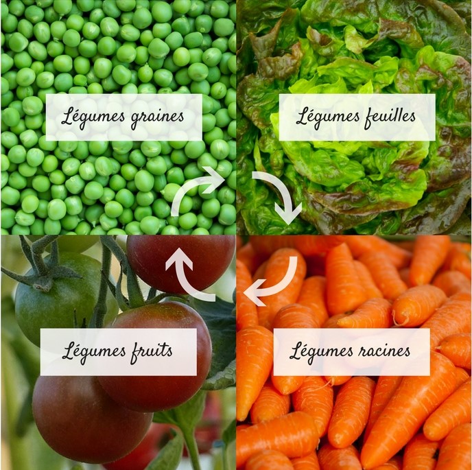 La Culture Dénature T Elle L Homme Plan Planifier le potager : rotations et associations, en 5 étapes